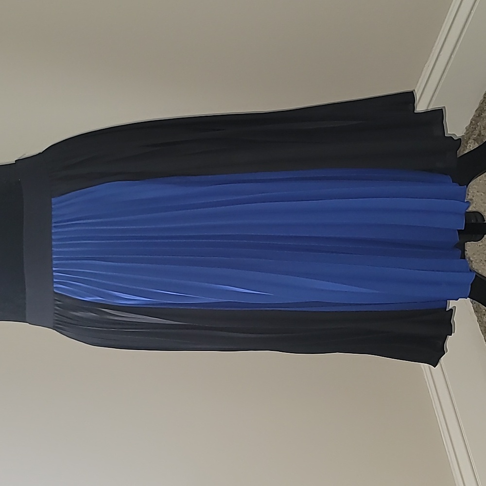 BCBGMaxAzria Black and Blue Pleated Skirt